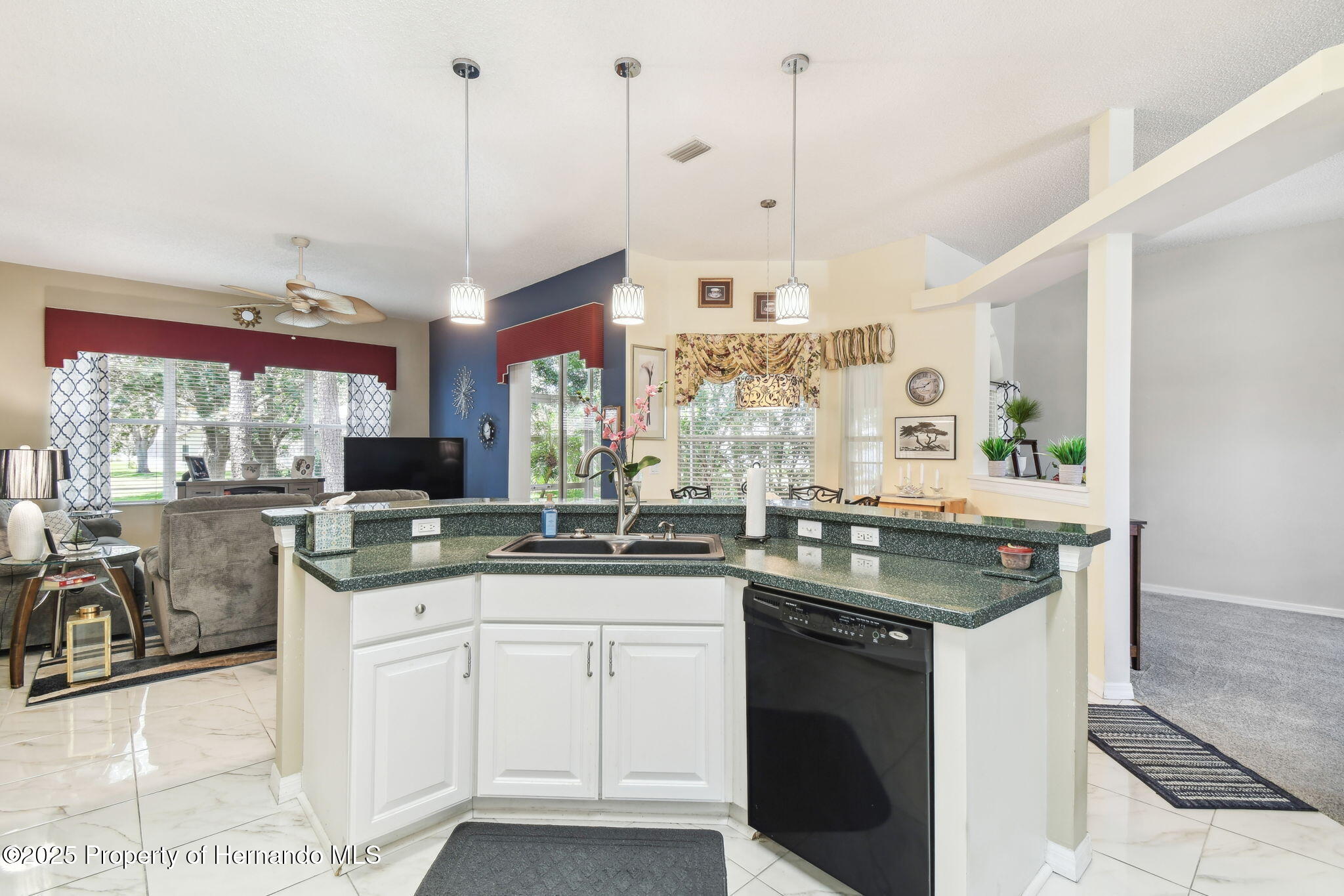 18532 Myrtlewood Drive, Hudson, Florida image 10