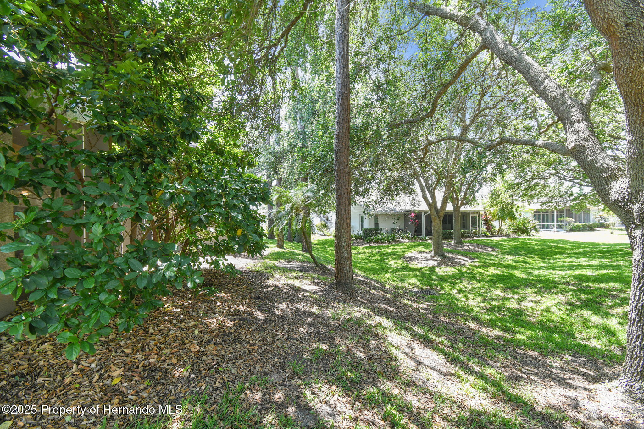 18532 Myrtlewood Drive, Hudson, Florida image 26