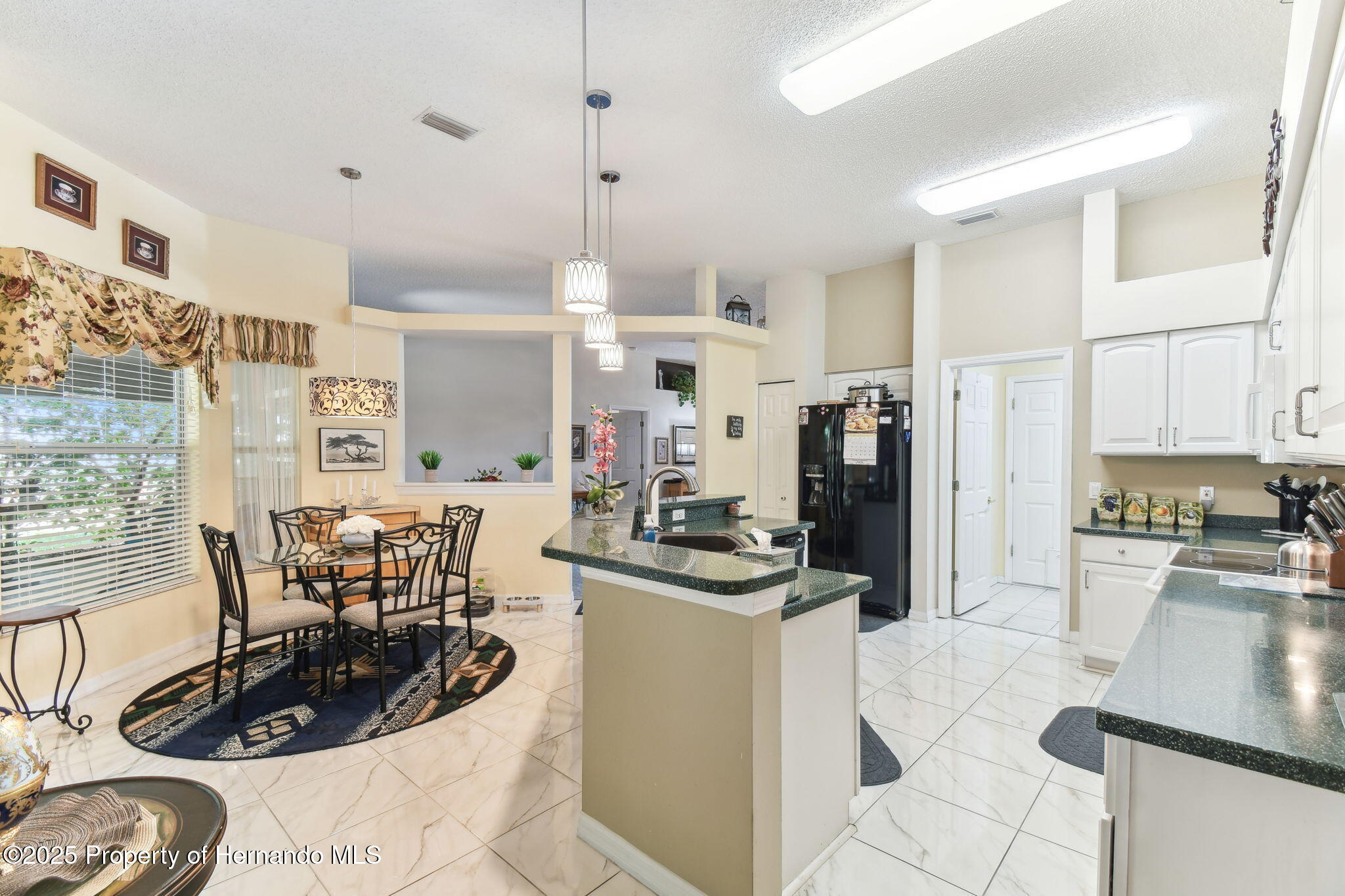 18532 Myrtlewood Drive, Hudson, Florida image 9