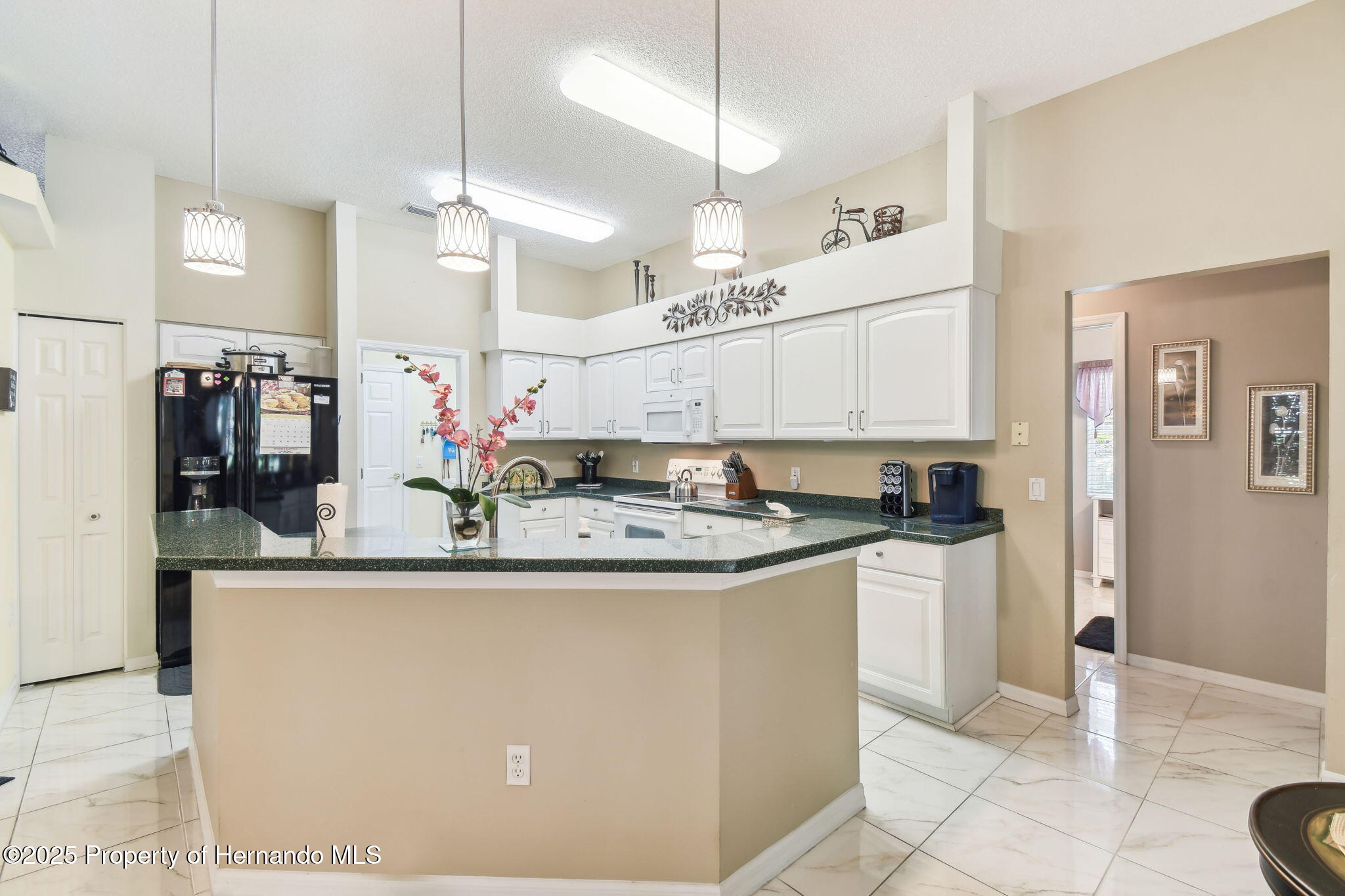 18532 Myrtlewood Drive, Hudson, Florida image 8