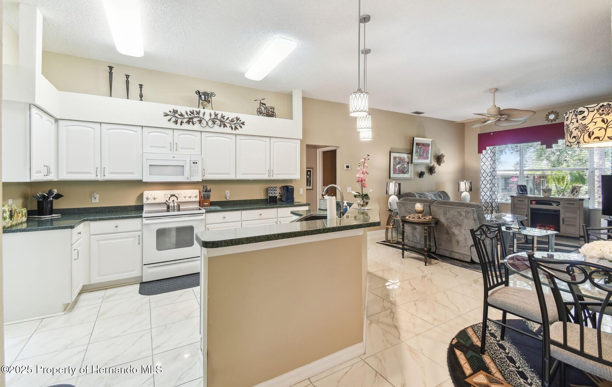 18532 Myrtlewood Drive, Hudson, Florida image 7