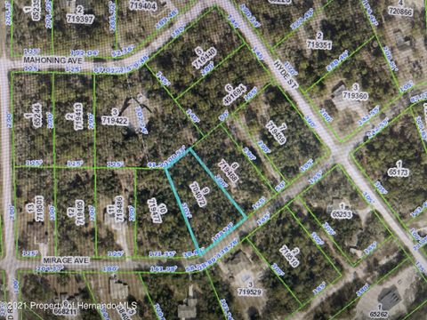 Vacant Land For Sale - Mirage Avenue<br/> Brooksville, FL 34614