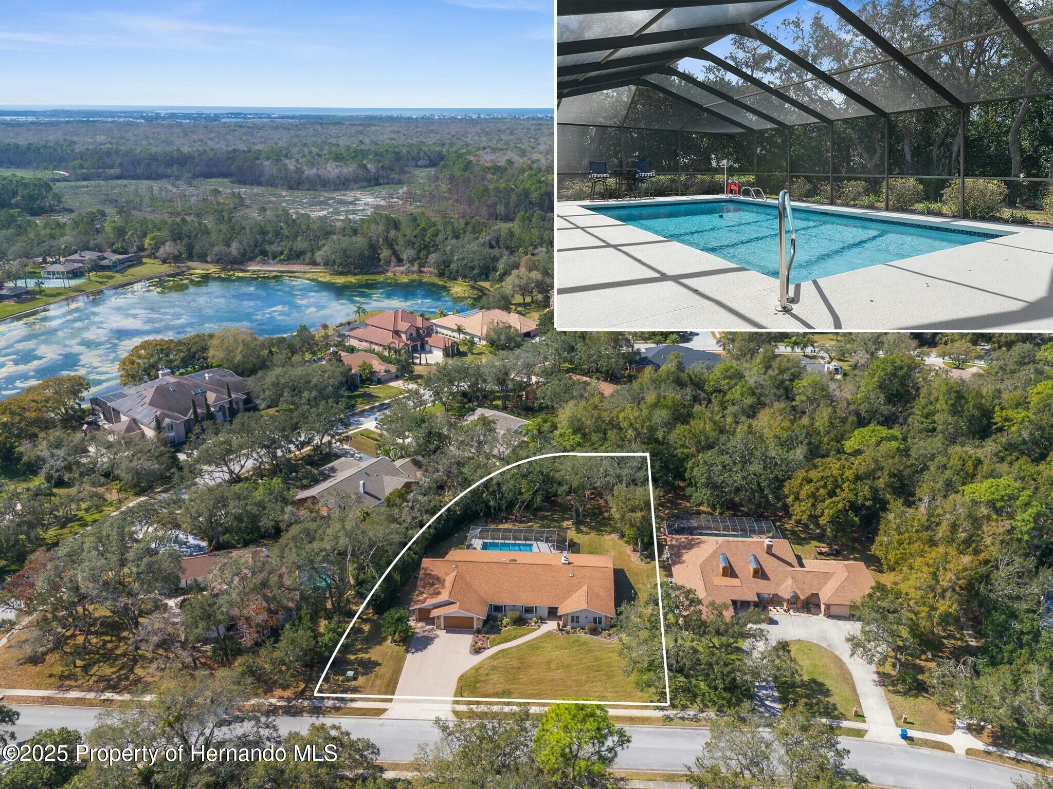 4603 Lake In The Woods Drive, Spring Hill, Florida image 2