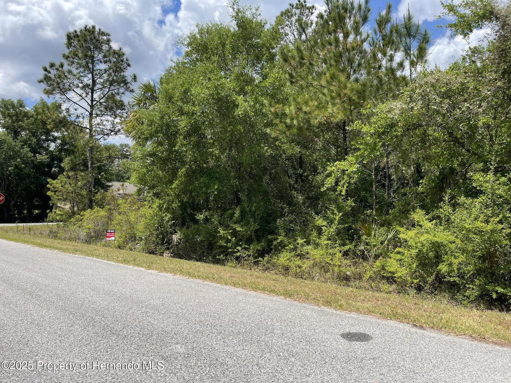 8352 N Blackthorn Avenue, Crystal River, Florida image 7