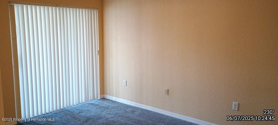 5011 Sunridge Palms Drive #203, Tampa, Florida image 31