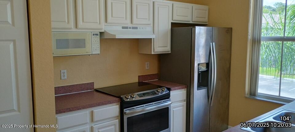 5011 Sunridge Palms Drive #203, Tampa, Florida image 9