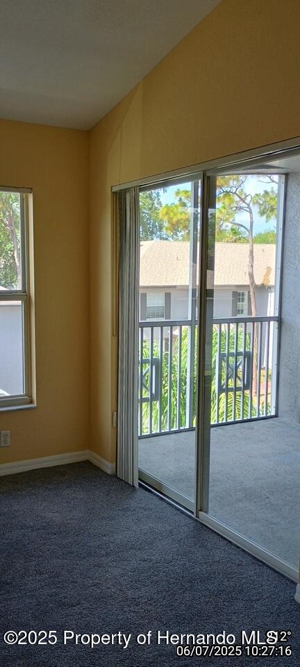 5011 Sunridge Palms Drive #203, Tampa, Florida image 36