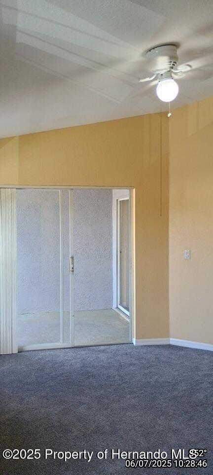 5011 Sunridge Palms Drive #203, Tampa, Florida image 42