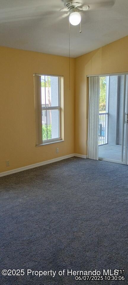 5011 Sunridge Palms Drive #203, Tampa, Florida image 43