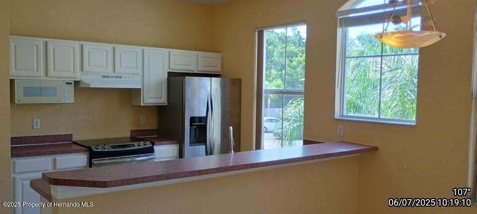 5011 Sunridge Palms Drive #203, Tampa, Florida image 4