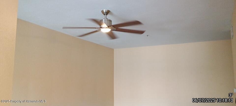 5011 Sunridge Palms Drive #203, Tampa, Florida image 19
