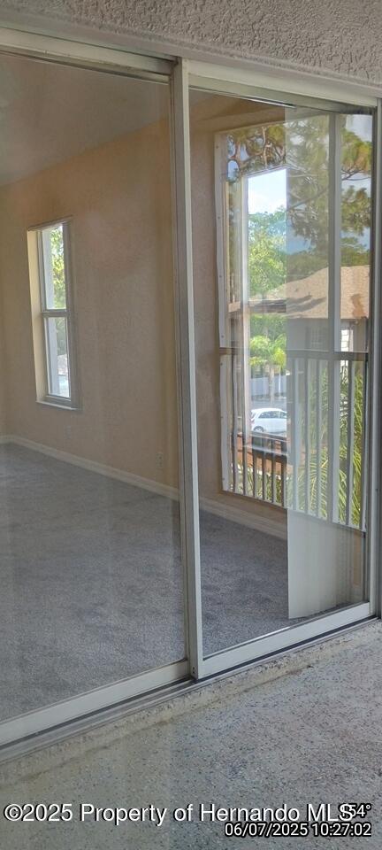 5011 Sunridge Palms Drive #203, Tampa, Florida image 39