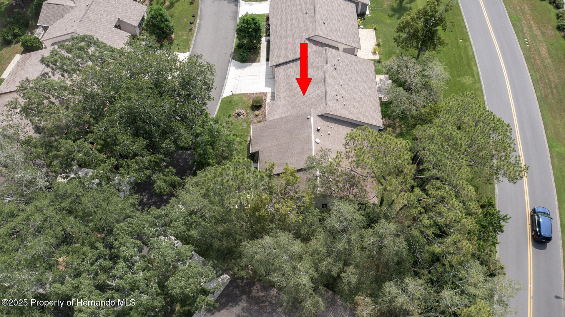 6620 Brambleleaf Drive, Spring Hill, Florida image 35