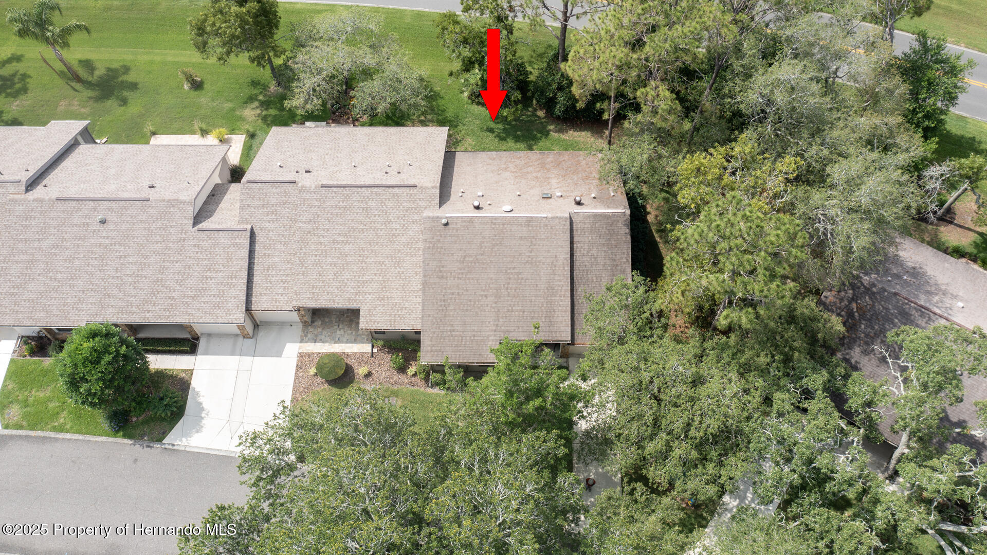 6620 Brambleleaf Drive, Spring Hill, Florida image 1