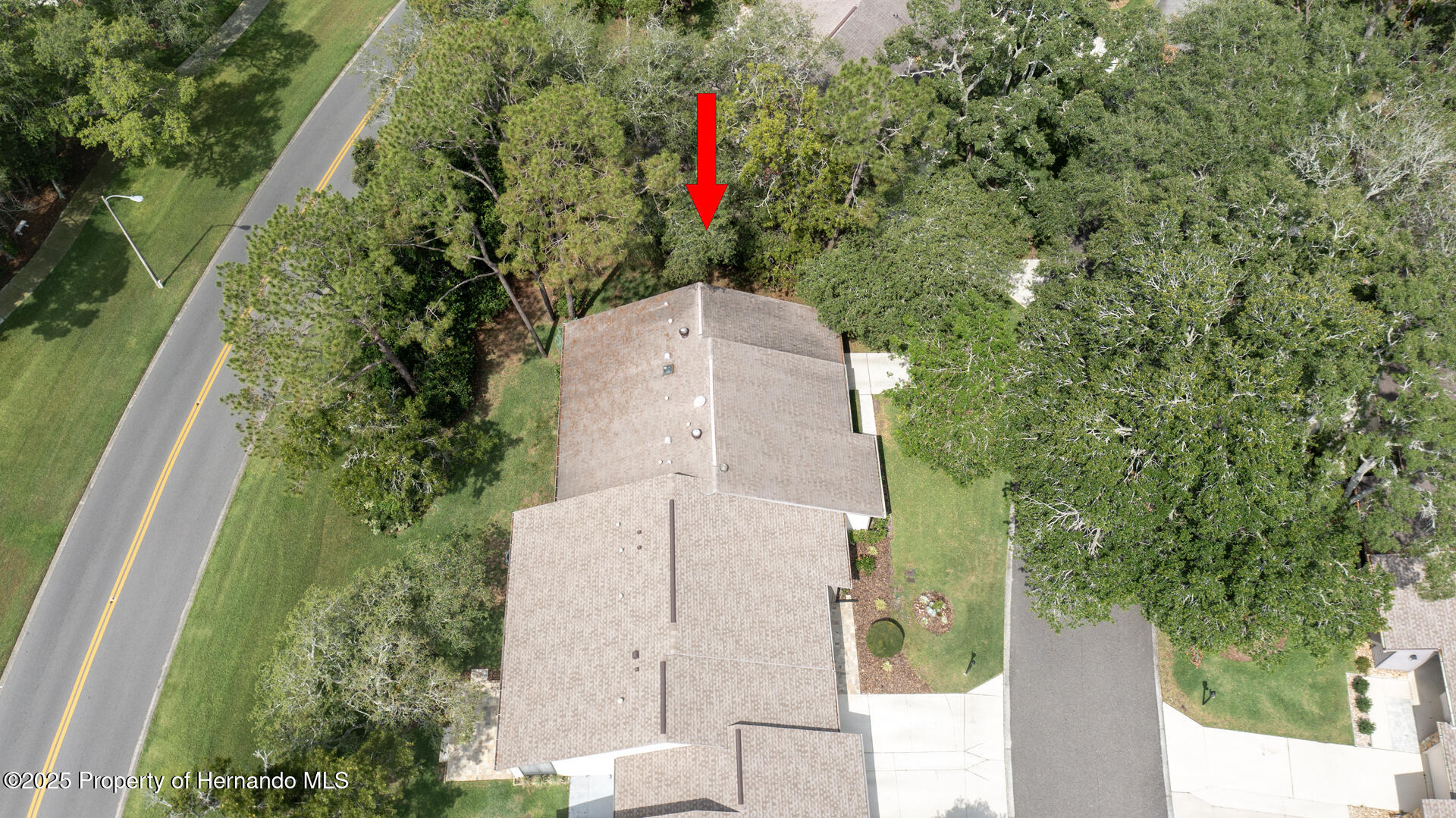 6620 Brambleleaf Drive, Spring Hill, Florida image 34