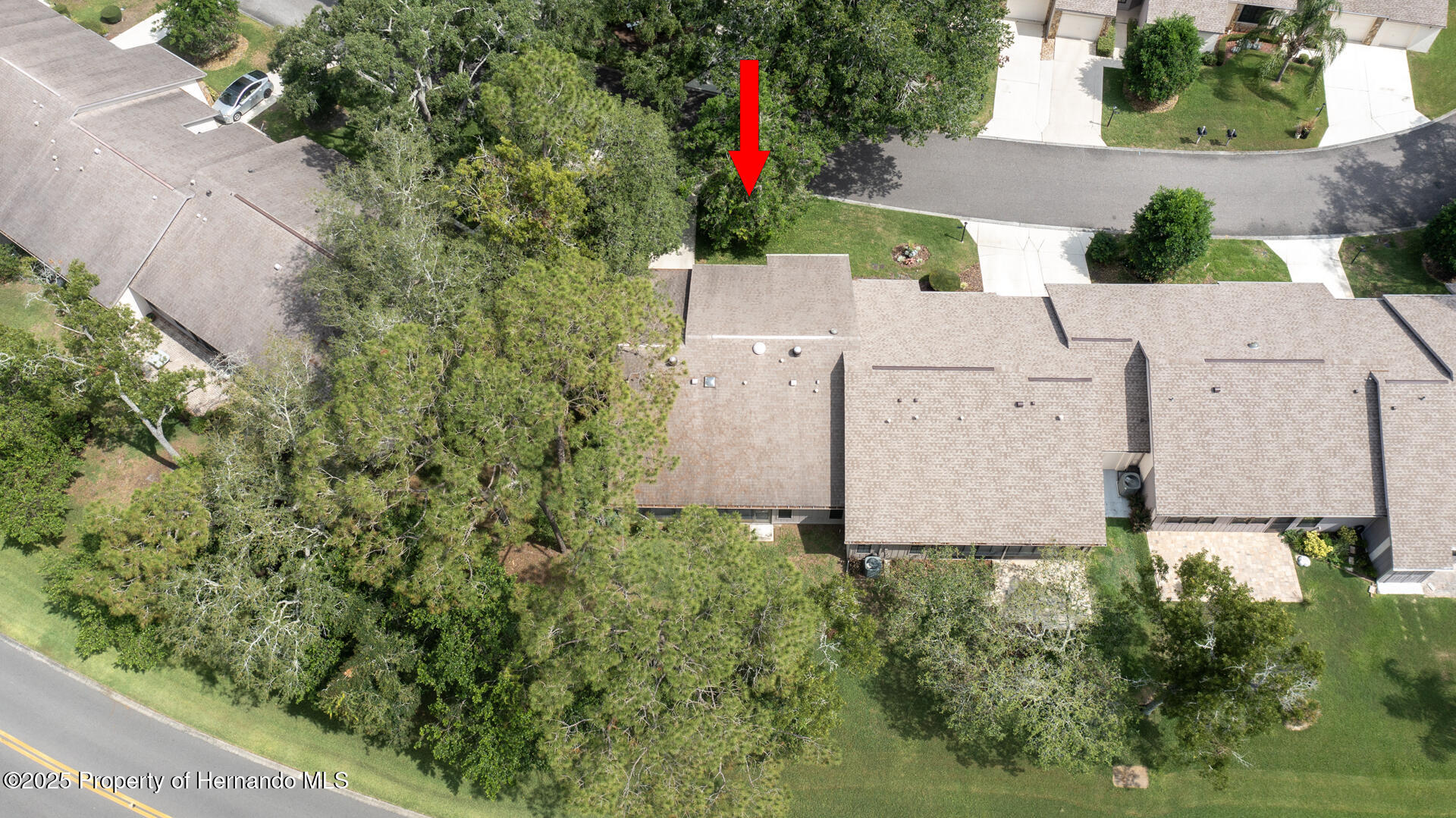 6620 Brambleleaf Drive, Spring Hill, Florida image 33