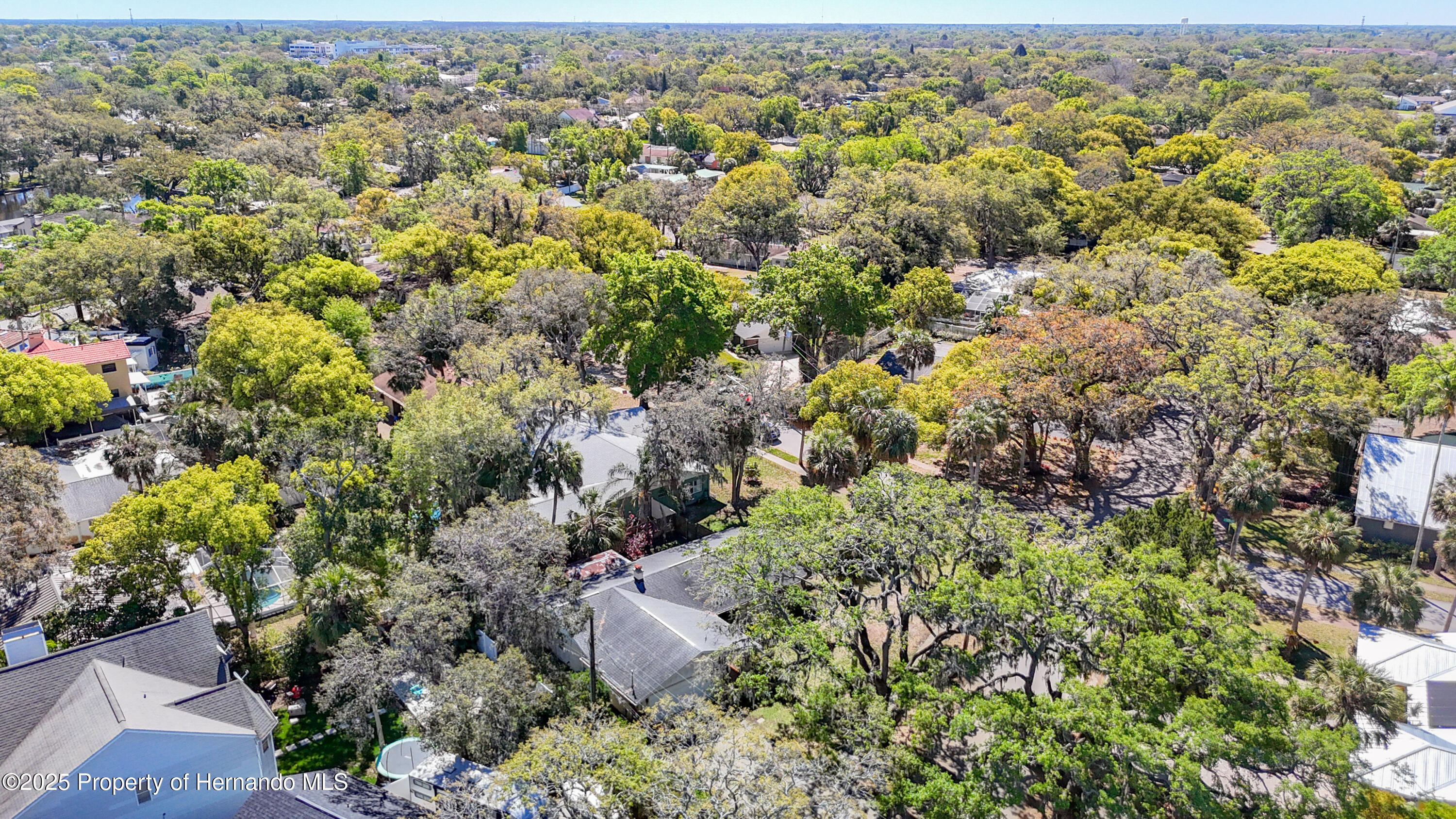 7150 Park Drive, New Port Richey, Florida image 10