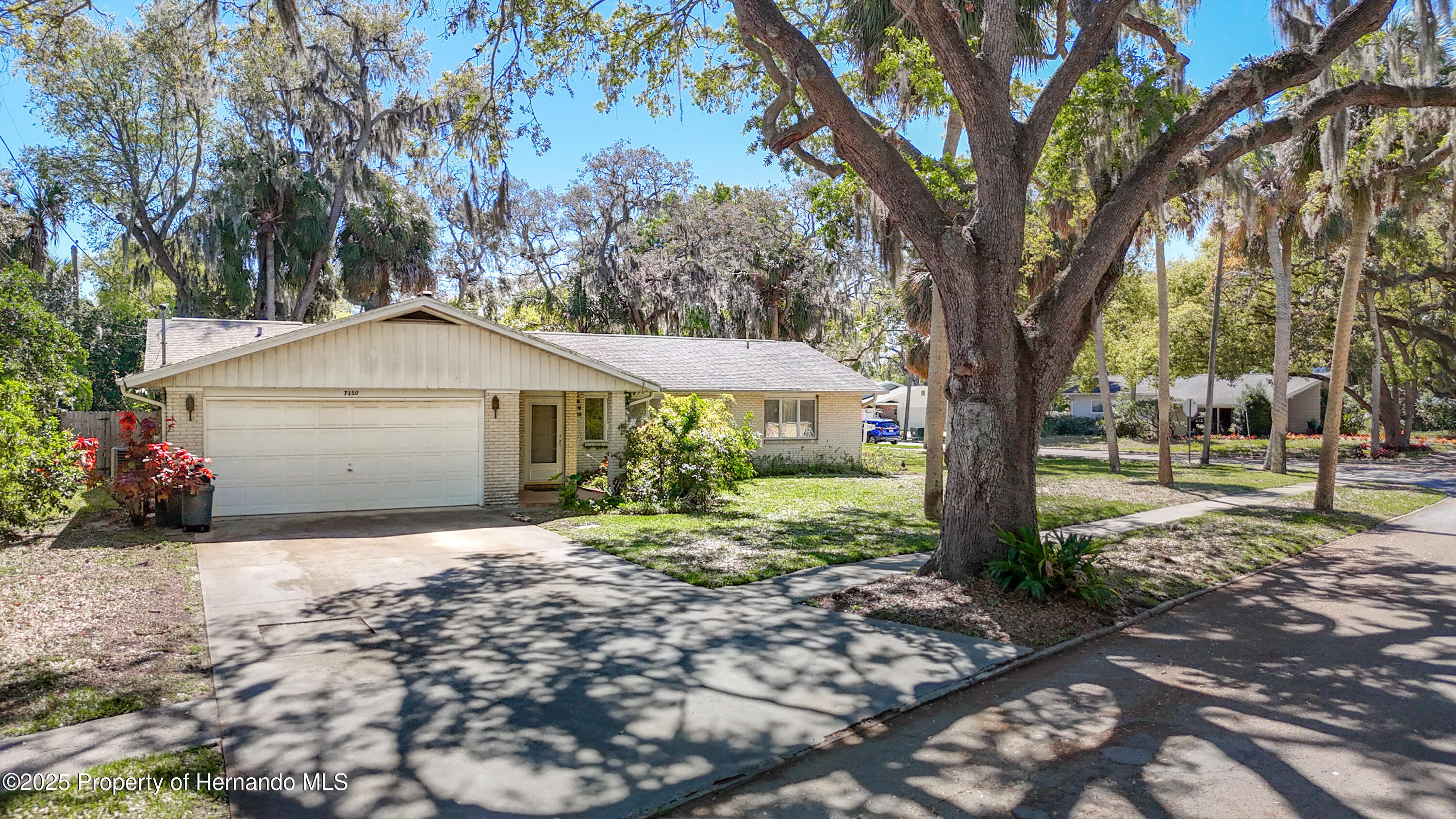 7150 Park Drive, New Port Richey, Florida image 3