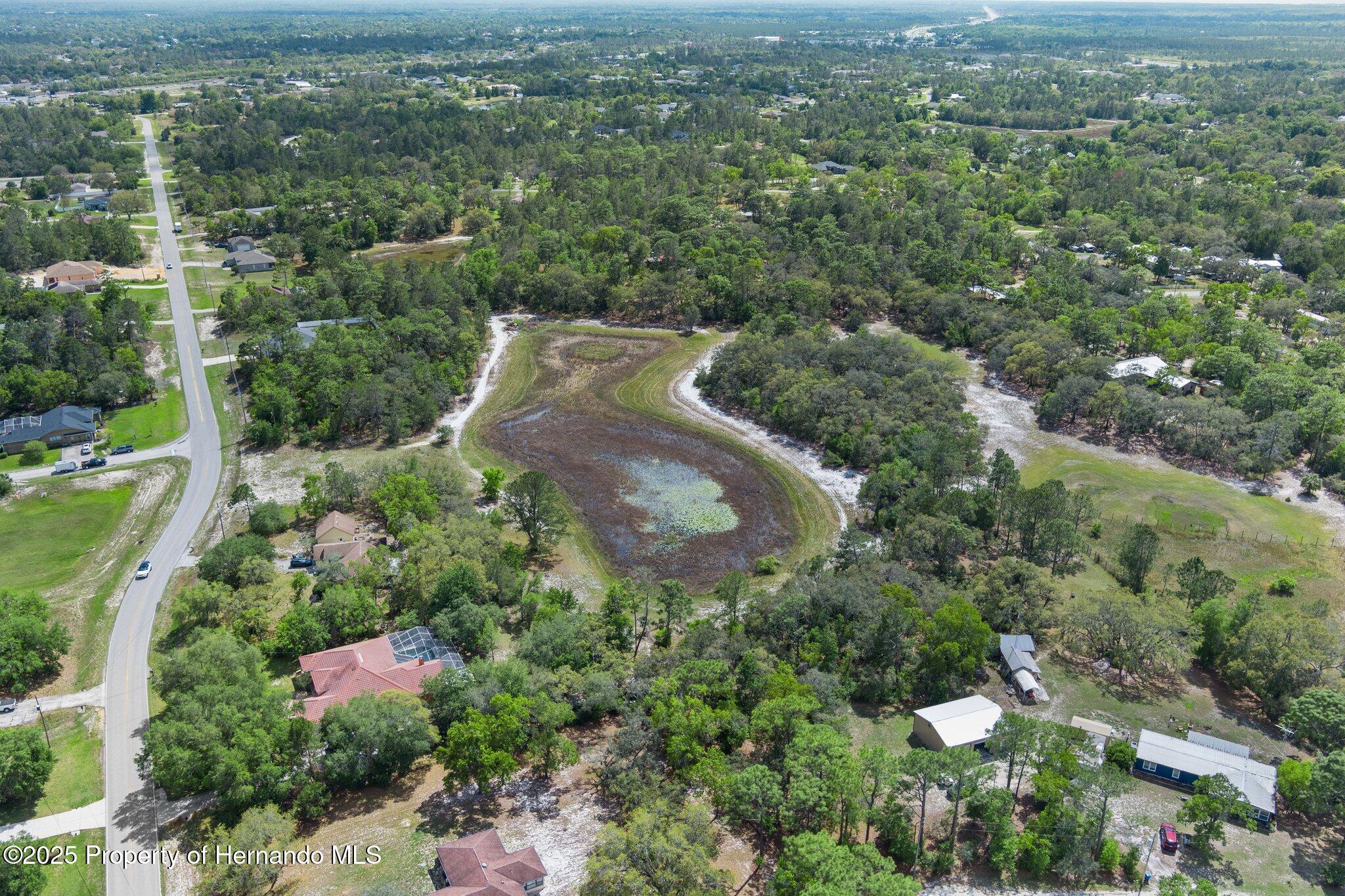 7339 Nightwalker Road, Weeki Wachee, Florida image 6