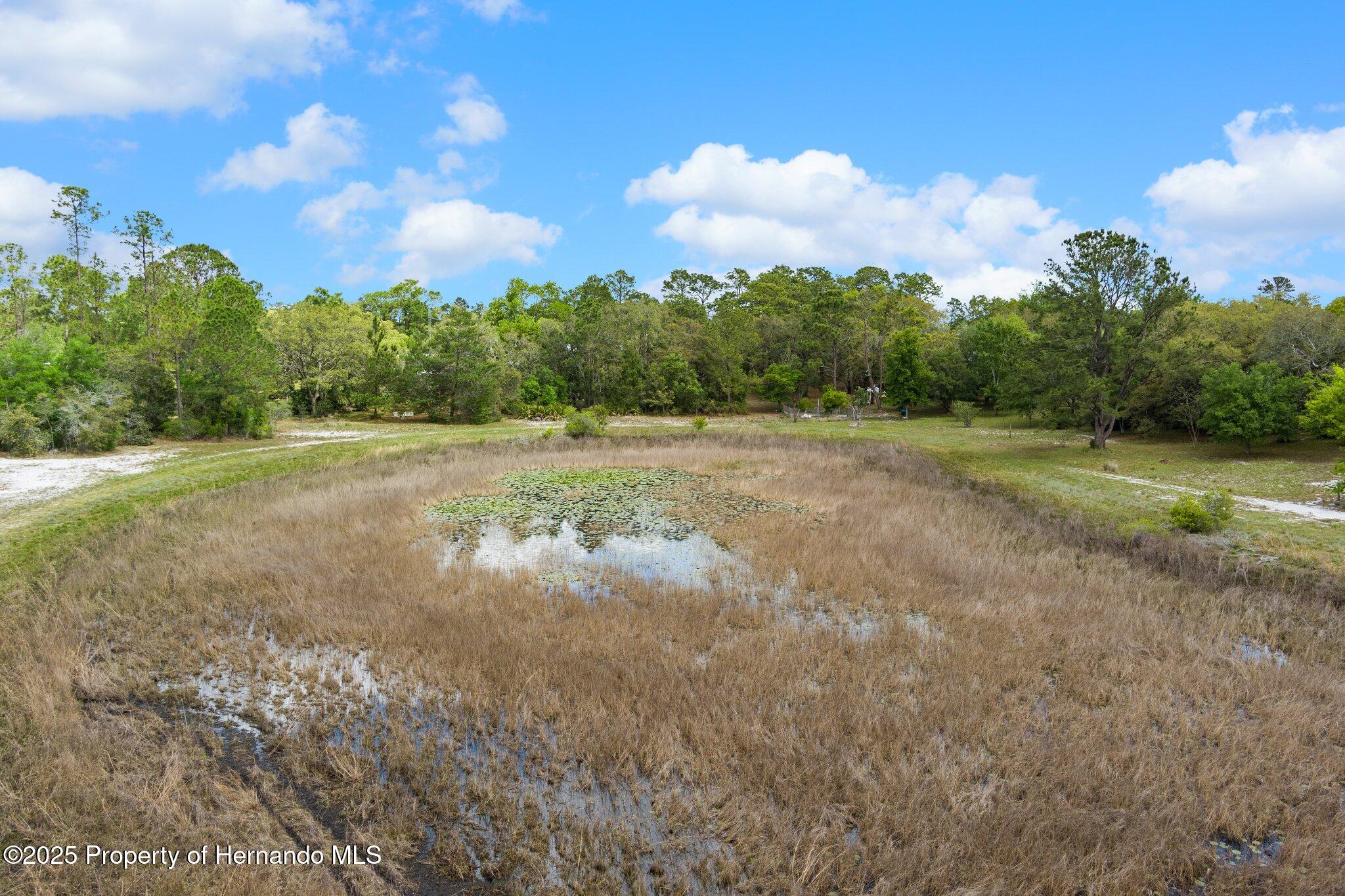 7339 Nightwalker Road, Weeki Wachee, Florida image 19