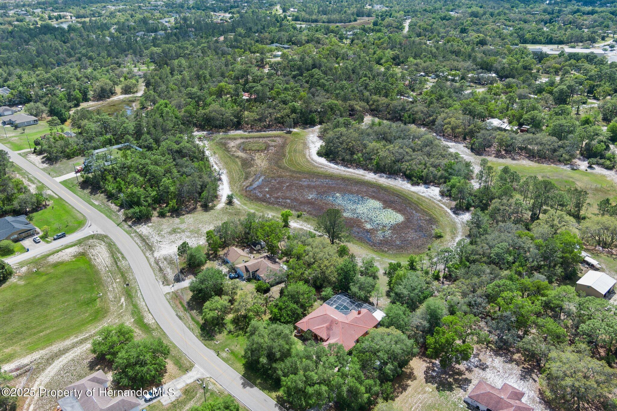 7339 Nightwalker Road, Weeki Wachee, Florida image 4