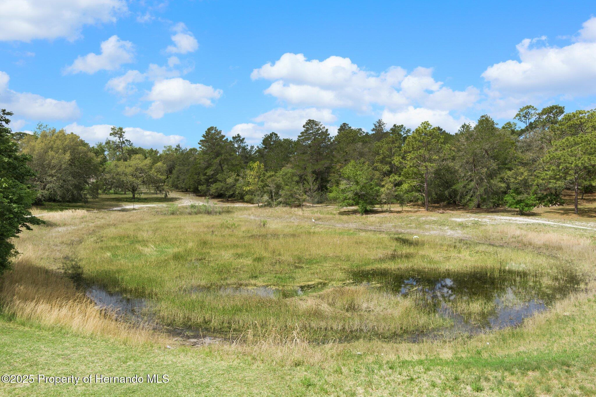7339 Nightwalker Road, Weeki Wachee, Florida image 16