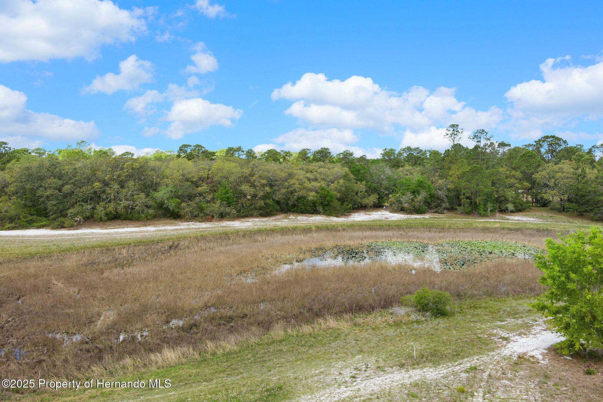 7339 Nightwalker Road, Weeki Wachee, Florida image 20