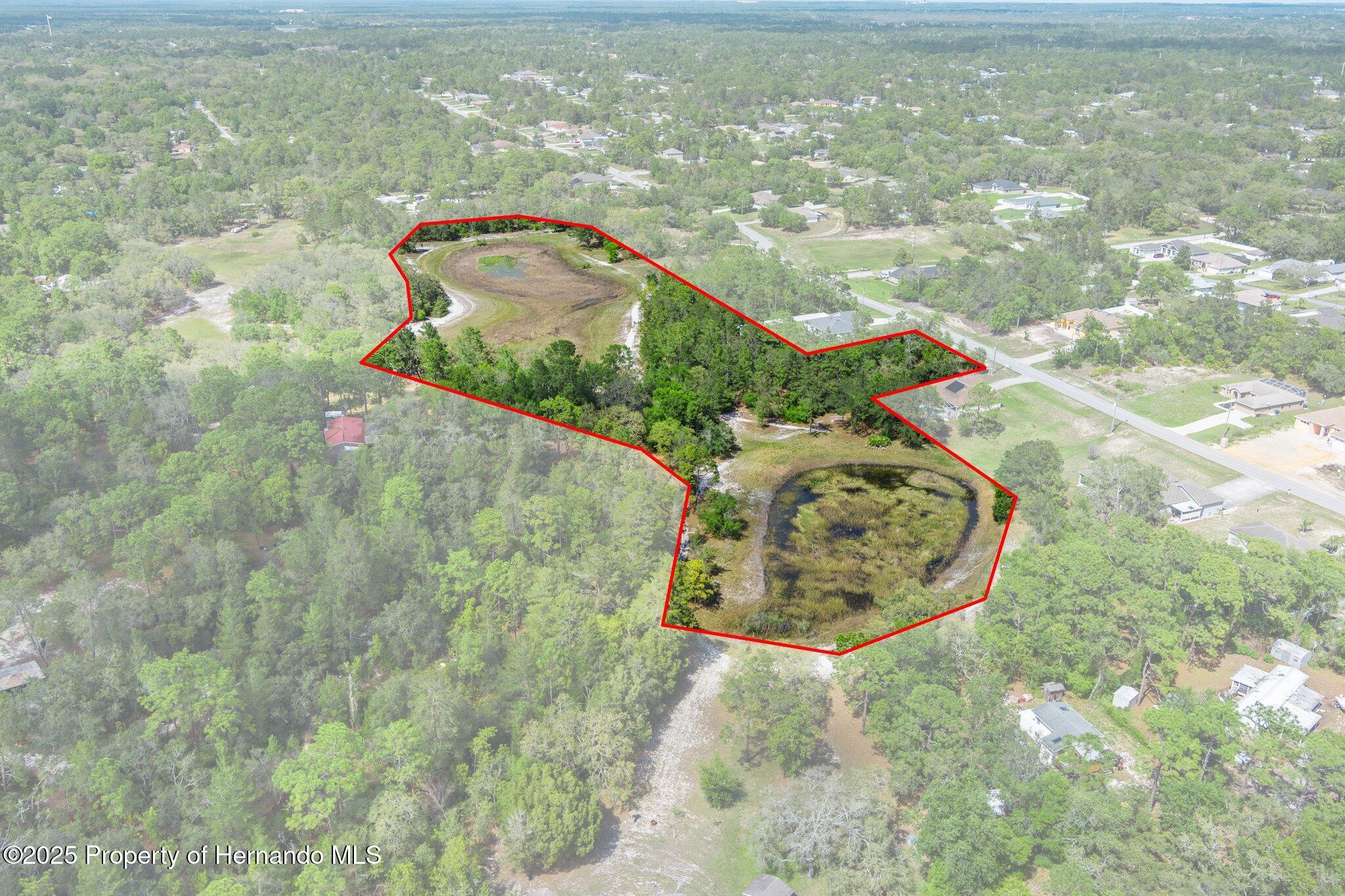 7339 Nightwalker Road, Weeki Wachee, Florida image 10