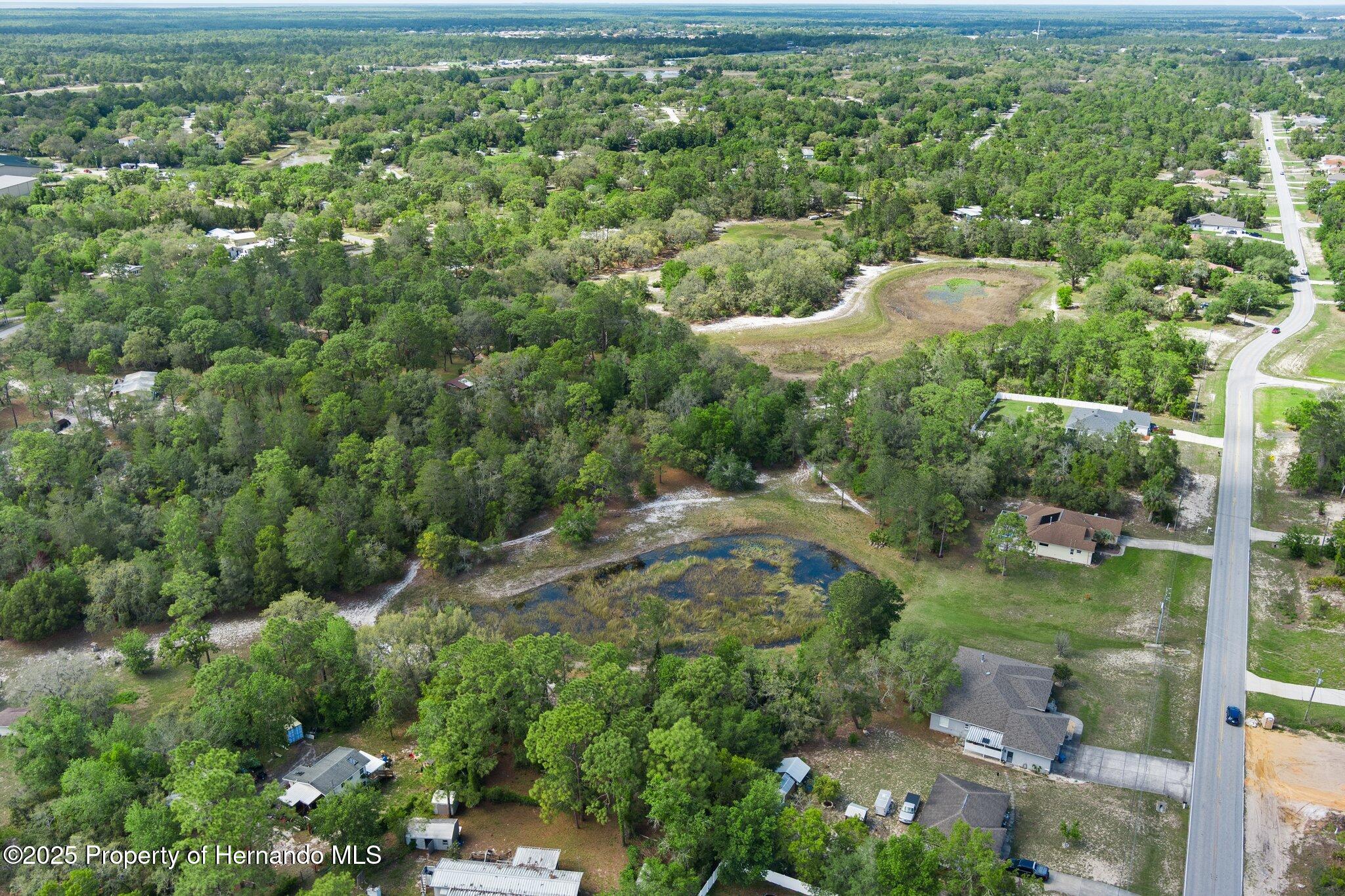 7339 Nightwalker Road, Weeki Wachee, Florida image 2