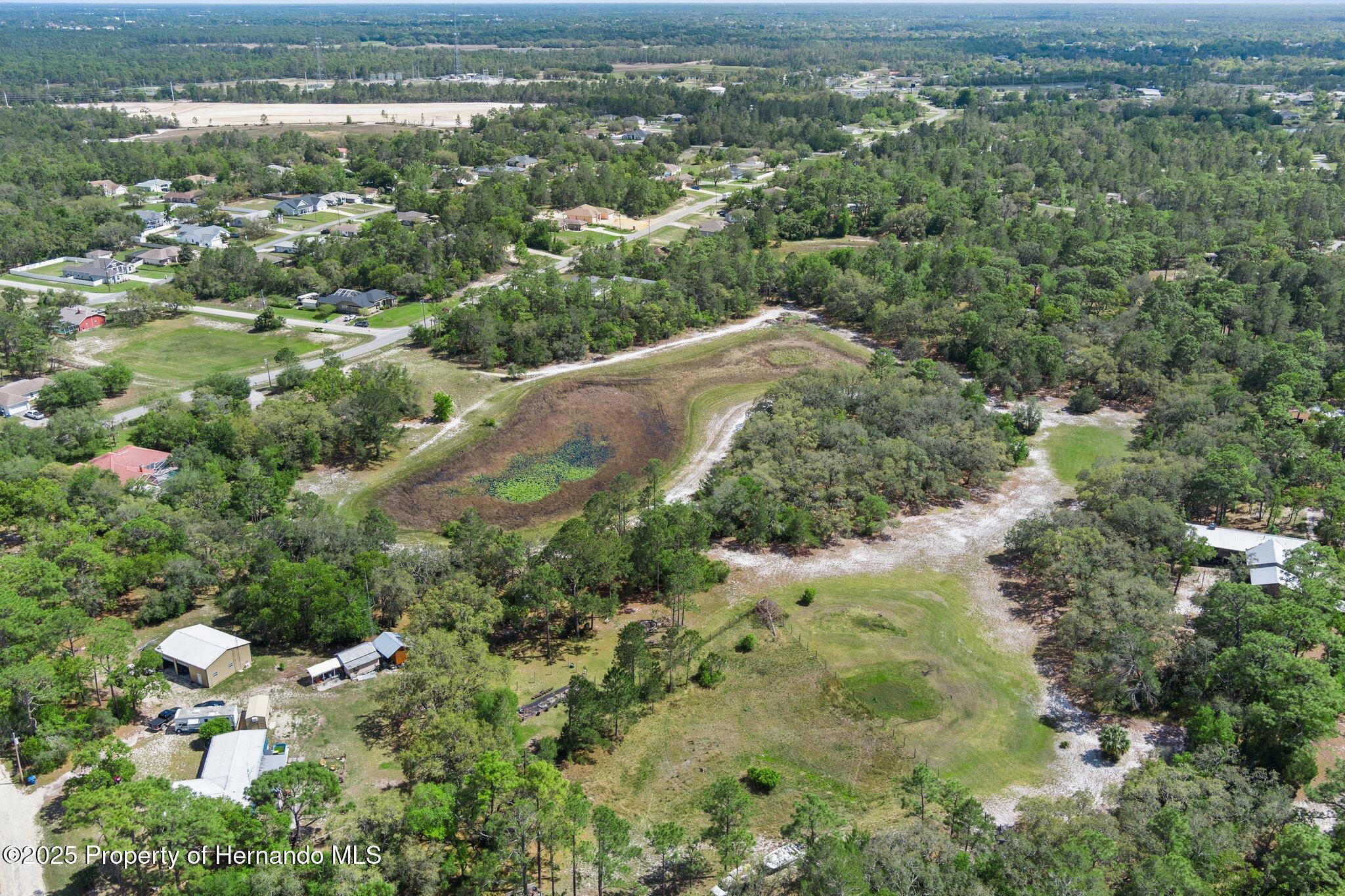 7339 Nightwalker Road, Weeki Wachee, Florida image 9