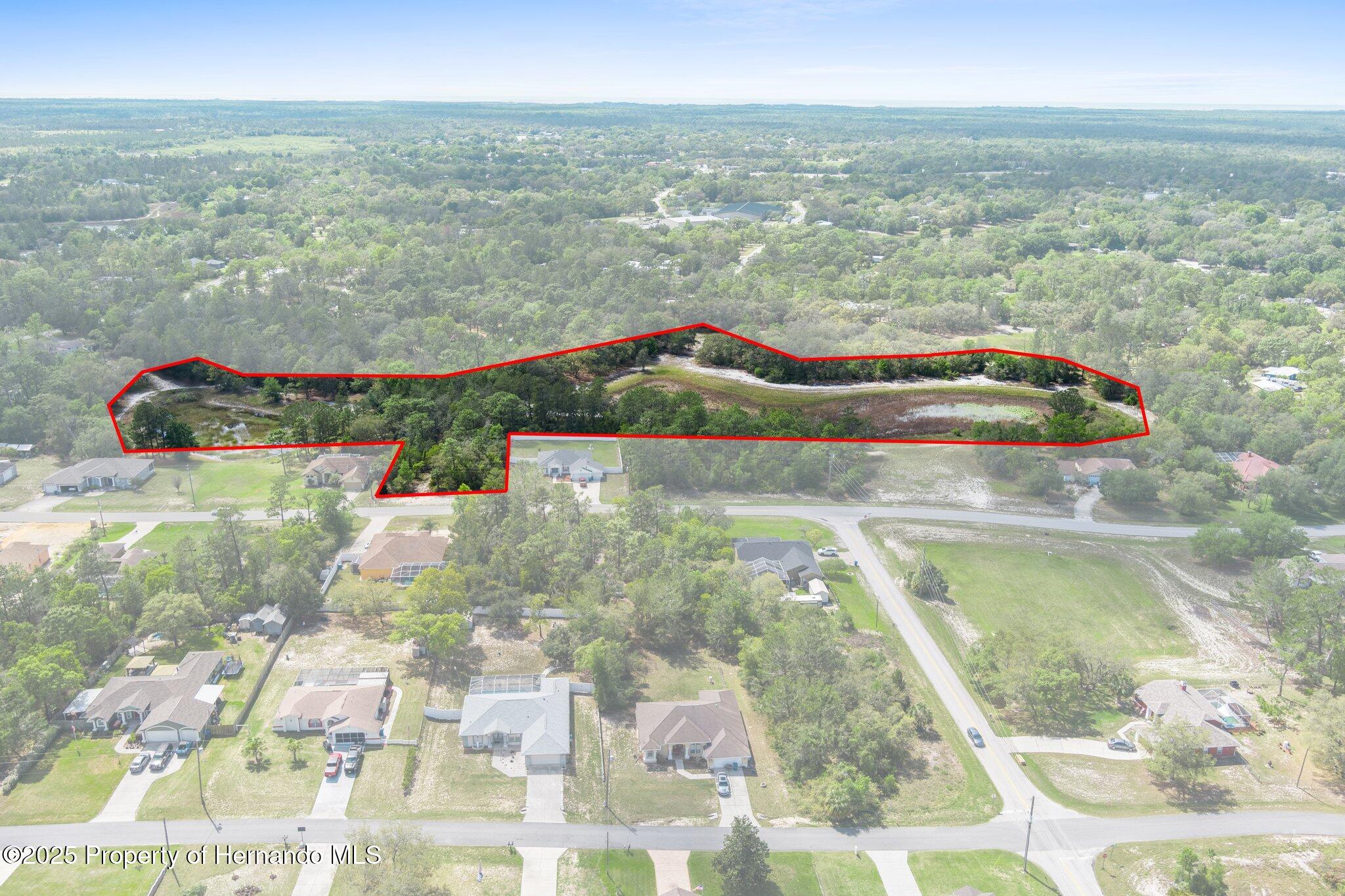 7339 Nightwalker Road, Weeki Wachee, Florida image 13