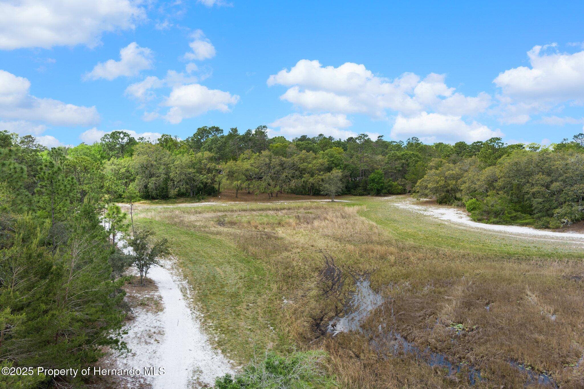 7339 Nightwalker Road, Weeki Wachee, Florida image 21