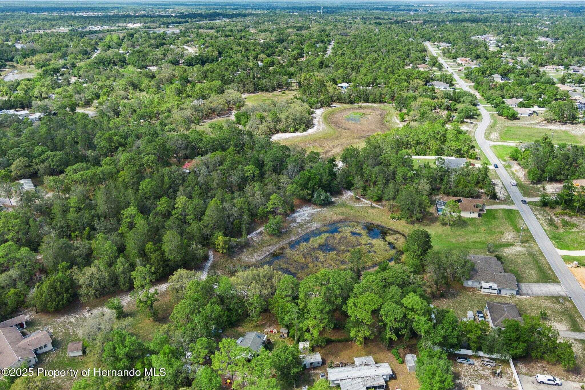 7339 Nightwalker Road, Weeki Wachee, Florida image 12