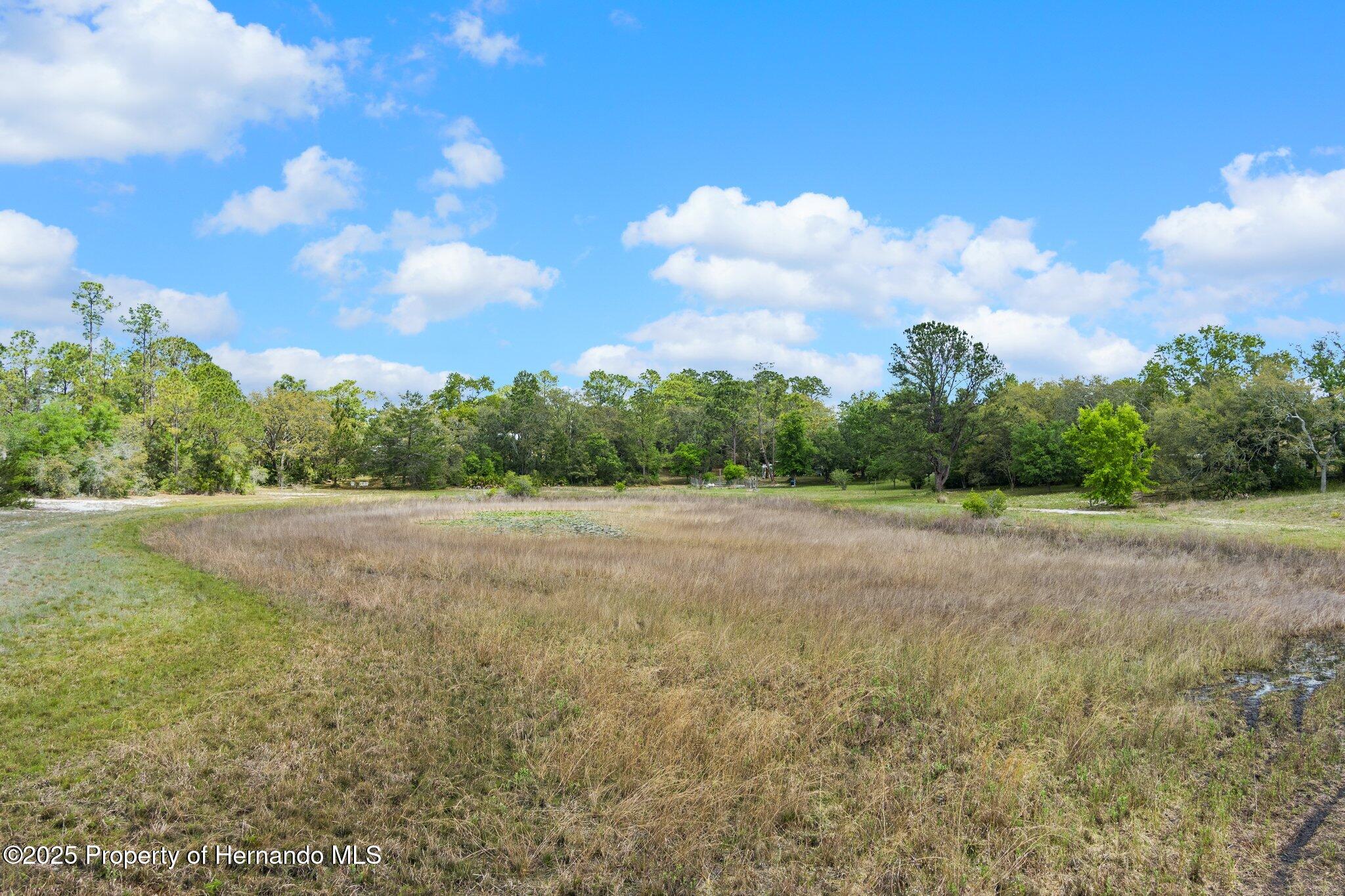 7339 Nightwalker Road, Weeki Wachee, Florida image 18