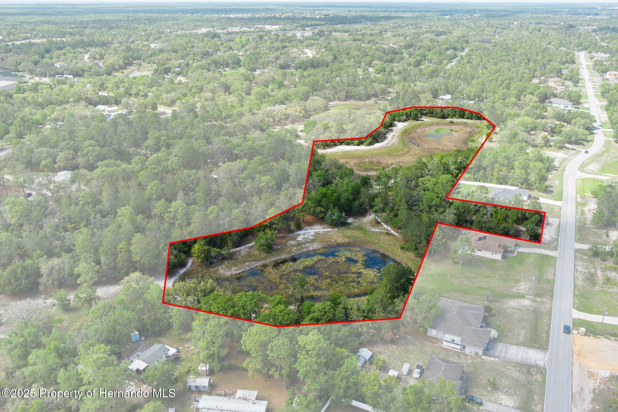 7339 Nightwalker Road, Weeki Wachee, Florida image 1