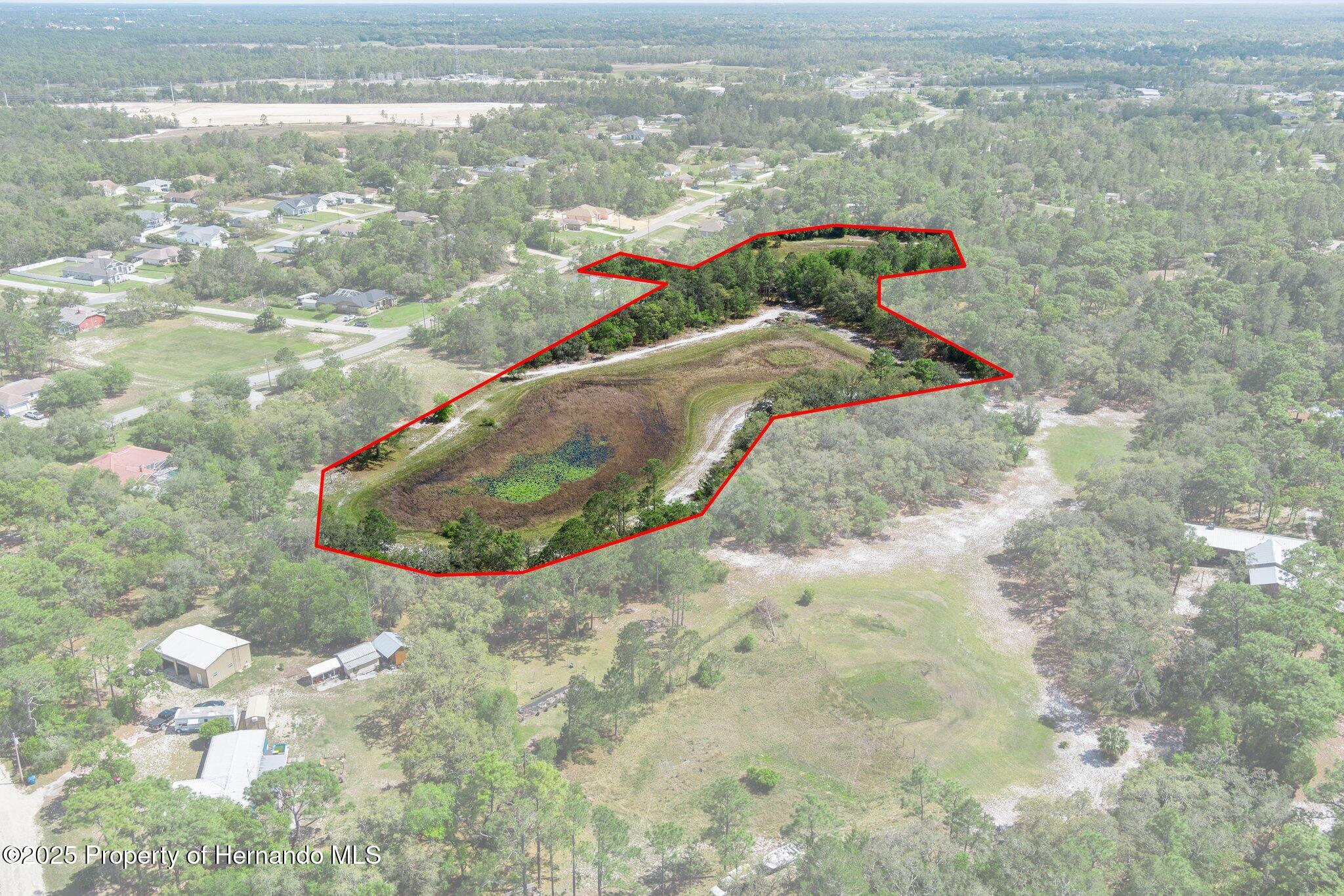7339 Nightwalker Road, Weeki Wachee, Florida image 8