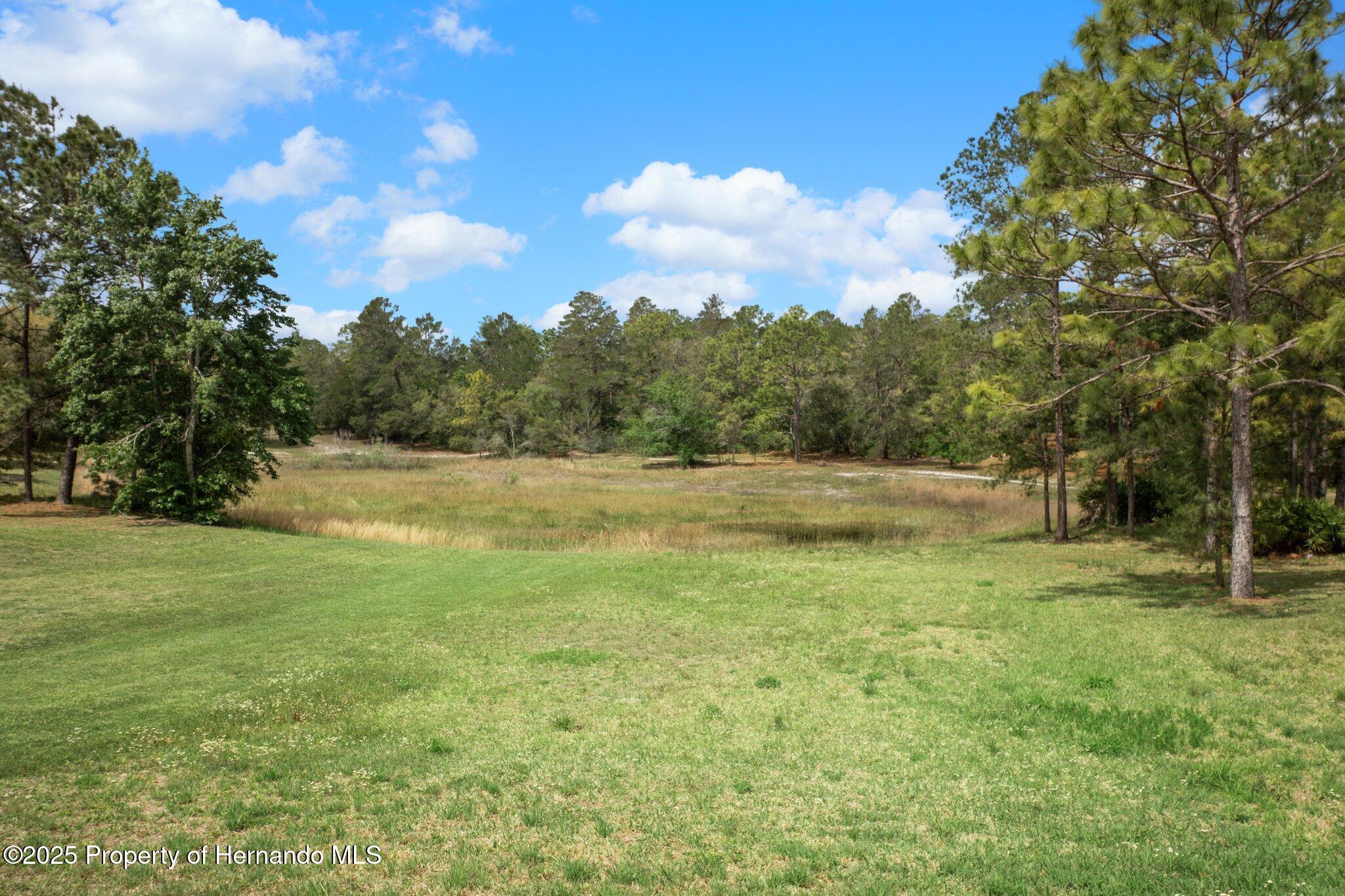7339 Nightwalker Road, Weeki Wachee, Florida image 14
