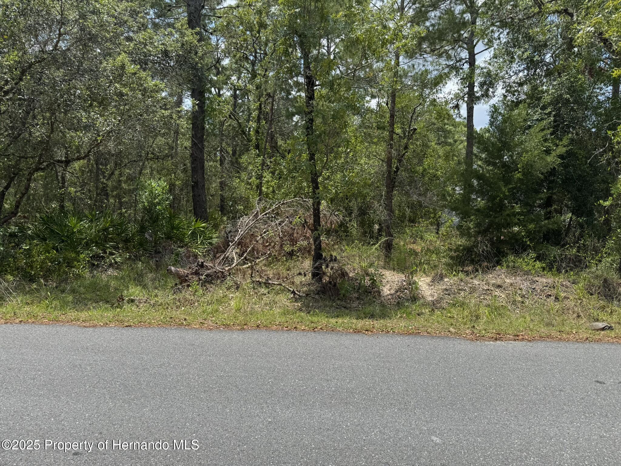 Lot 62 Michigan Avenue, Weeki Wachee, Florida image 4