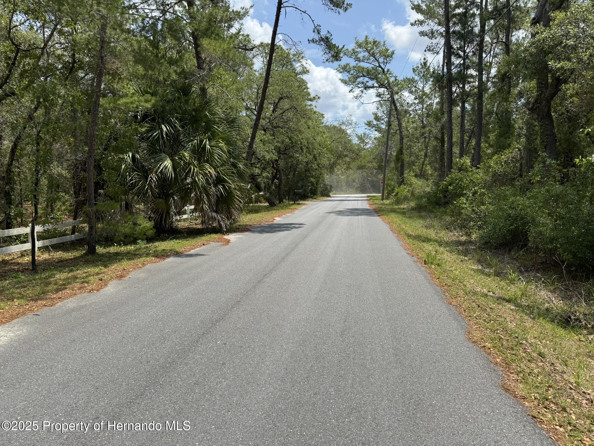 Lot 62 Michigan Avenue, Weeki Wachee, Florida image 2