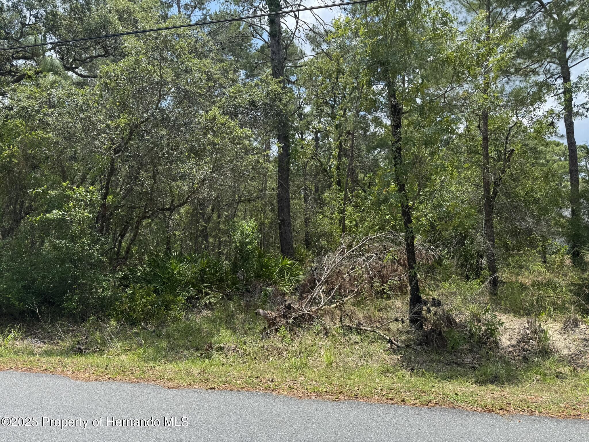 Lot 62 Michigan Avenue, Weeki Wachee, Florida image 3