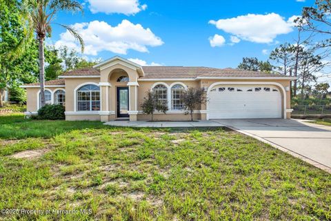 Homes For Sale - 2172 Whitewood Avenue<br/> Spring Hill, FL 34609