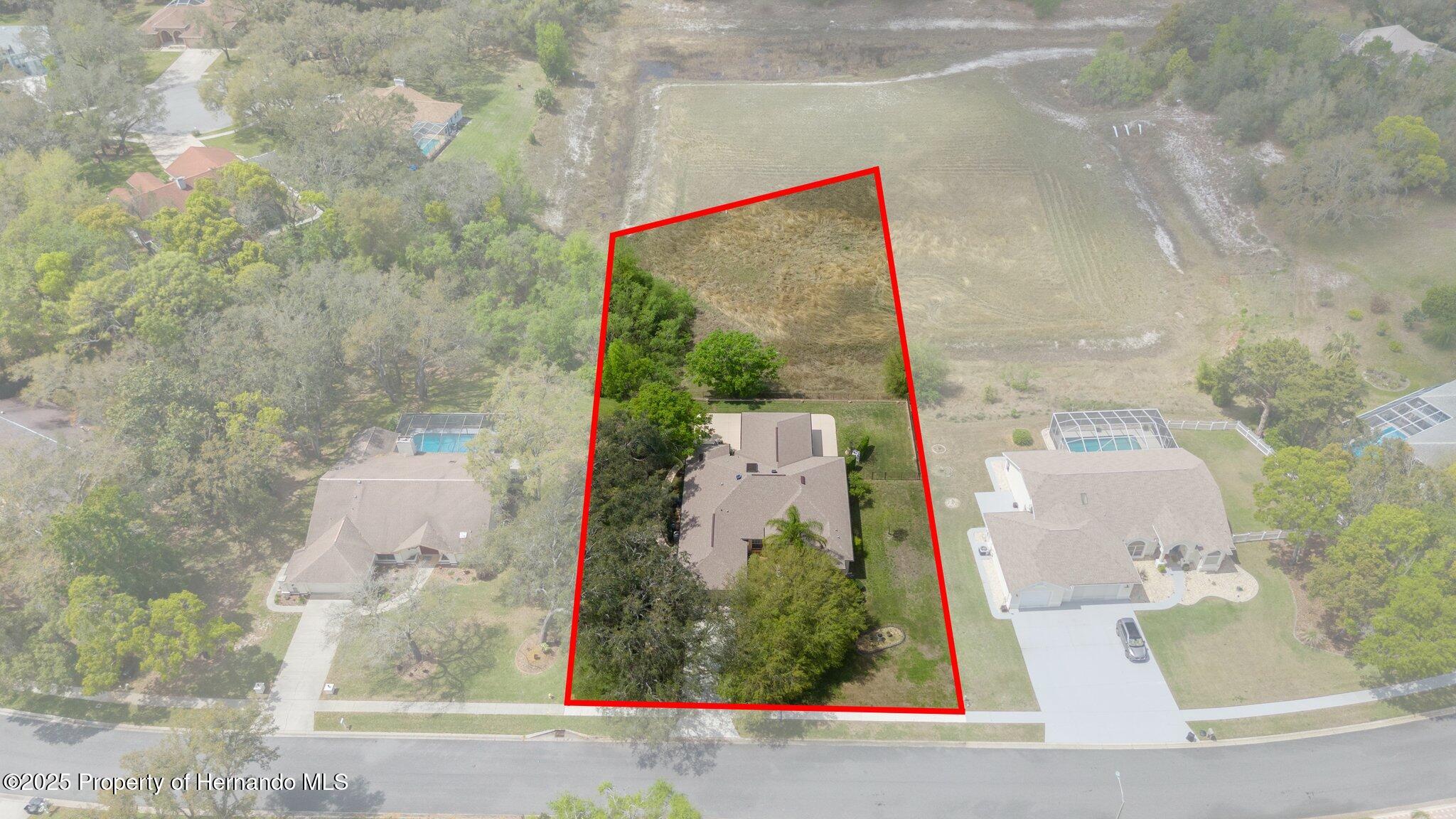 18241 Autumn Lake Boulevard, Hudson, Florida image 3