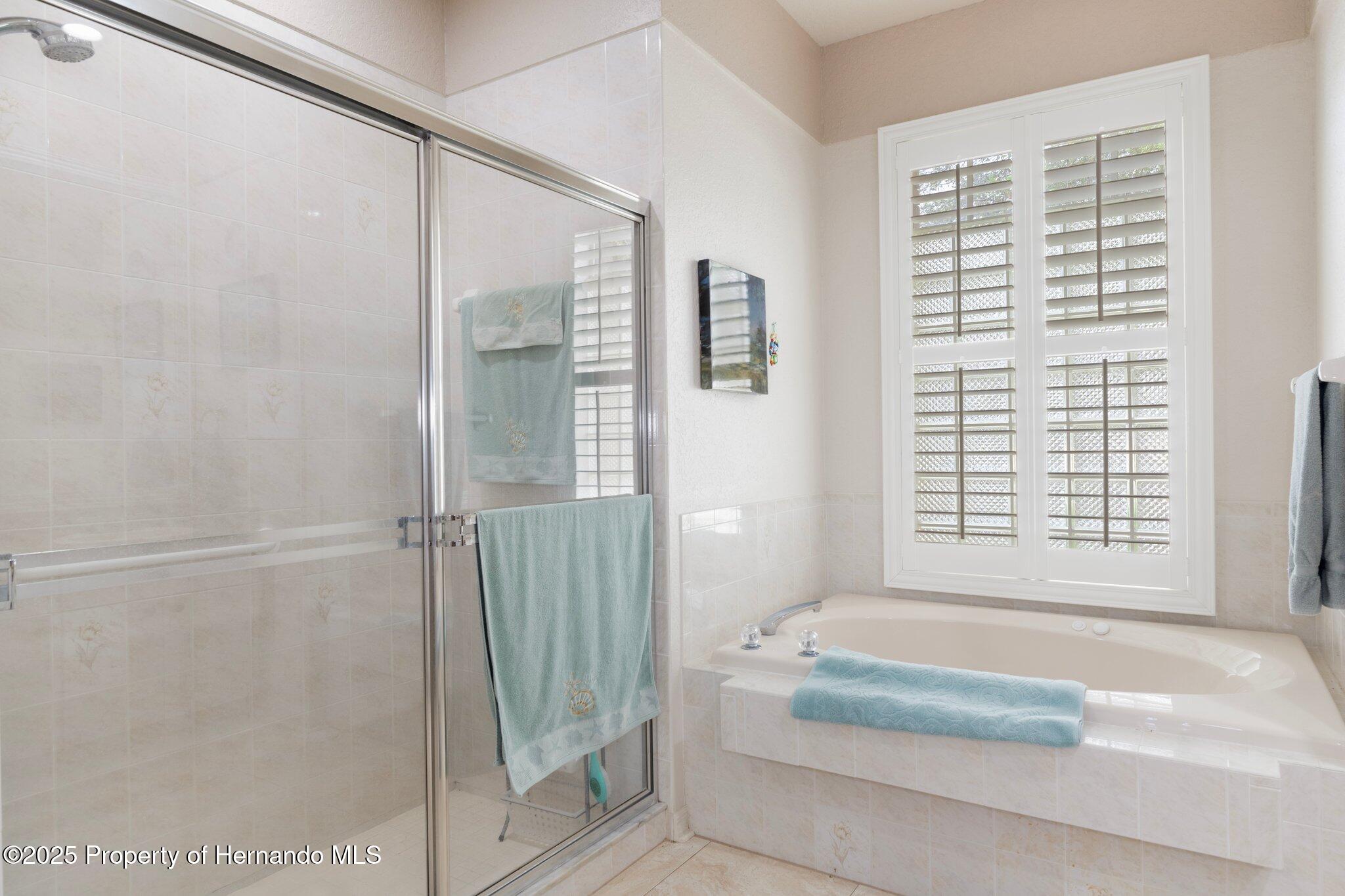 18241 Autumn Lake Boulevard, Hudson, Florida image 26