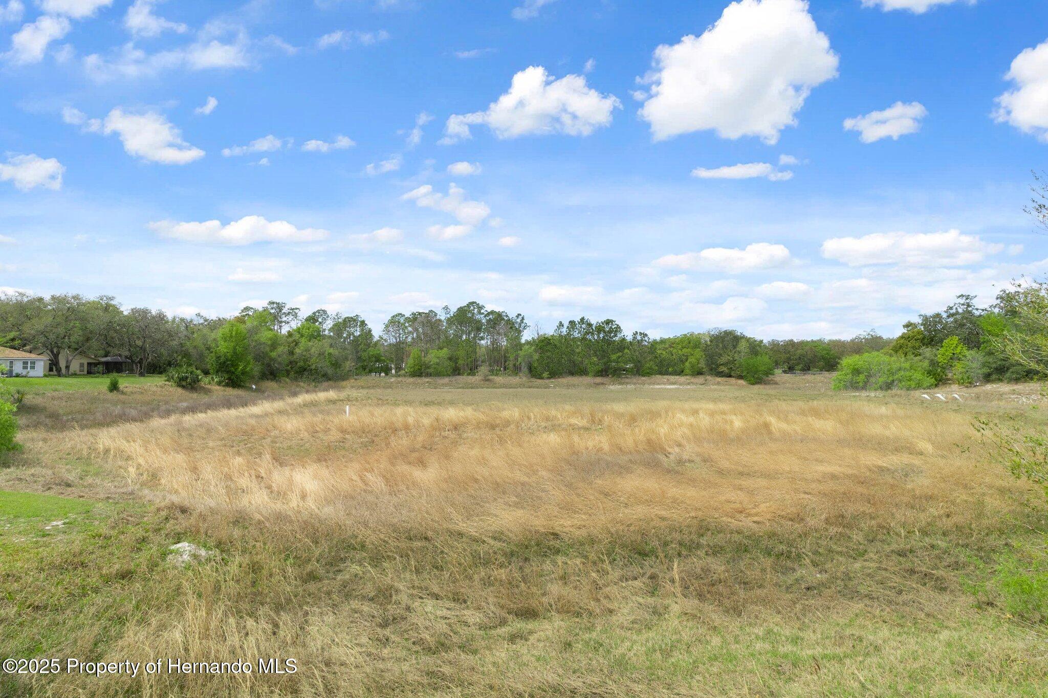 18241 Autumn Lake Boulevard, Hudson, Florida image 49