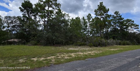 Vacant Land For Sale - 2899 W Santana Drive<br/> Citrus Springs, FL 34434