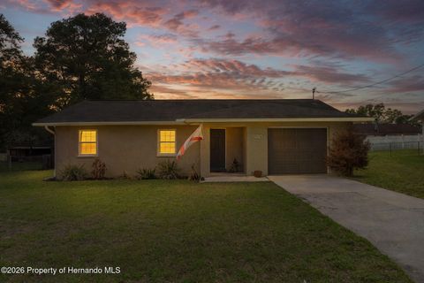 Homes For Sale - 27176 Wakefield Drive<br/> Hernando County, Brooksville, FL 34602