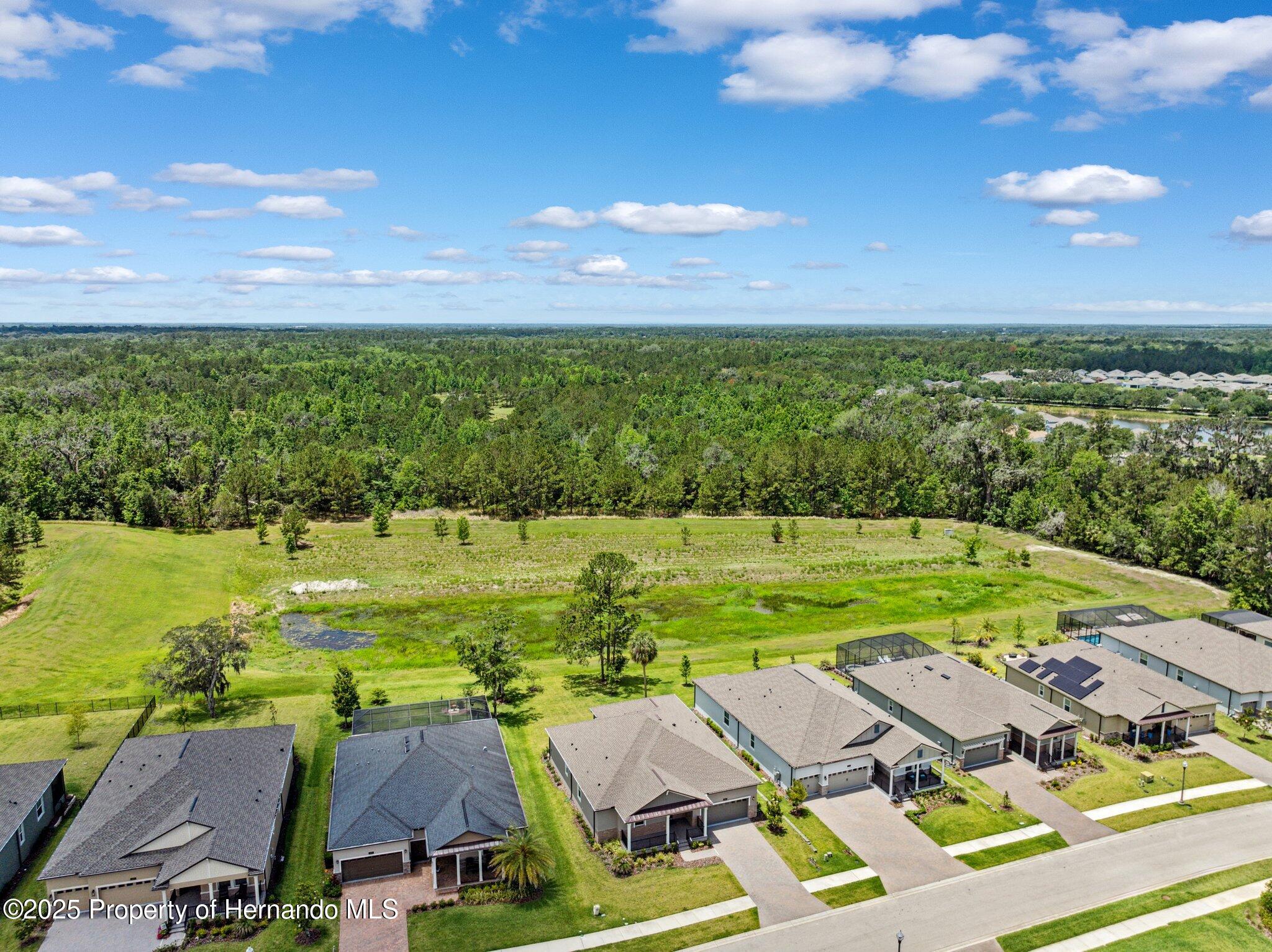 5005 Southern Valley Loop, Brooksville, Florida image 48