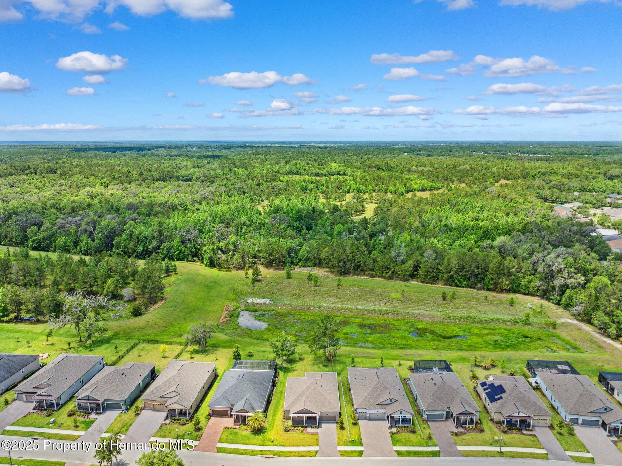 5005 Southern Valley Loop, Brooksville, Florida image 47