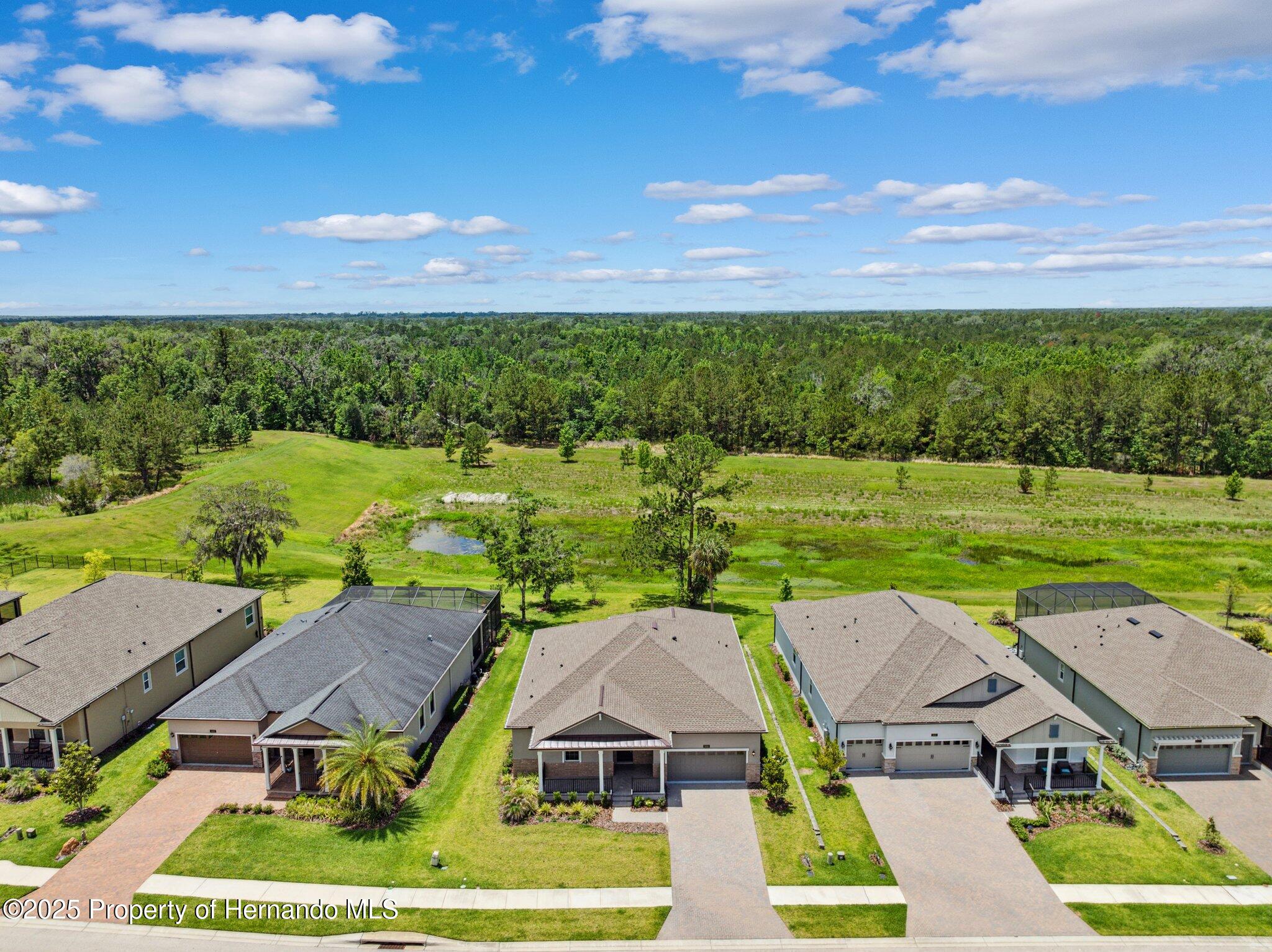 5005 Southern Valley Loop, Brooksville, Florida image 49