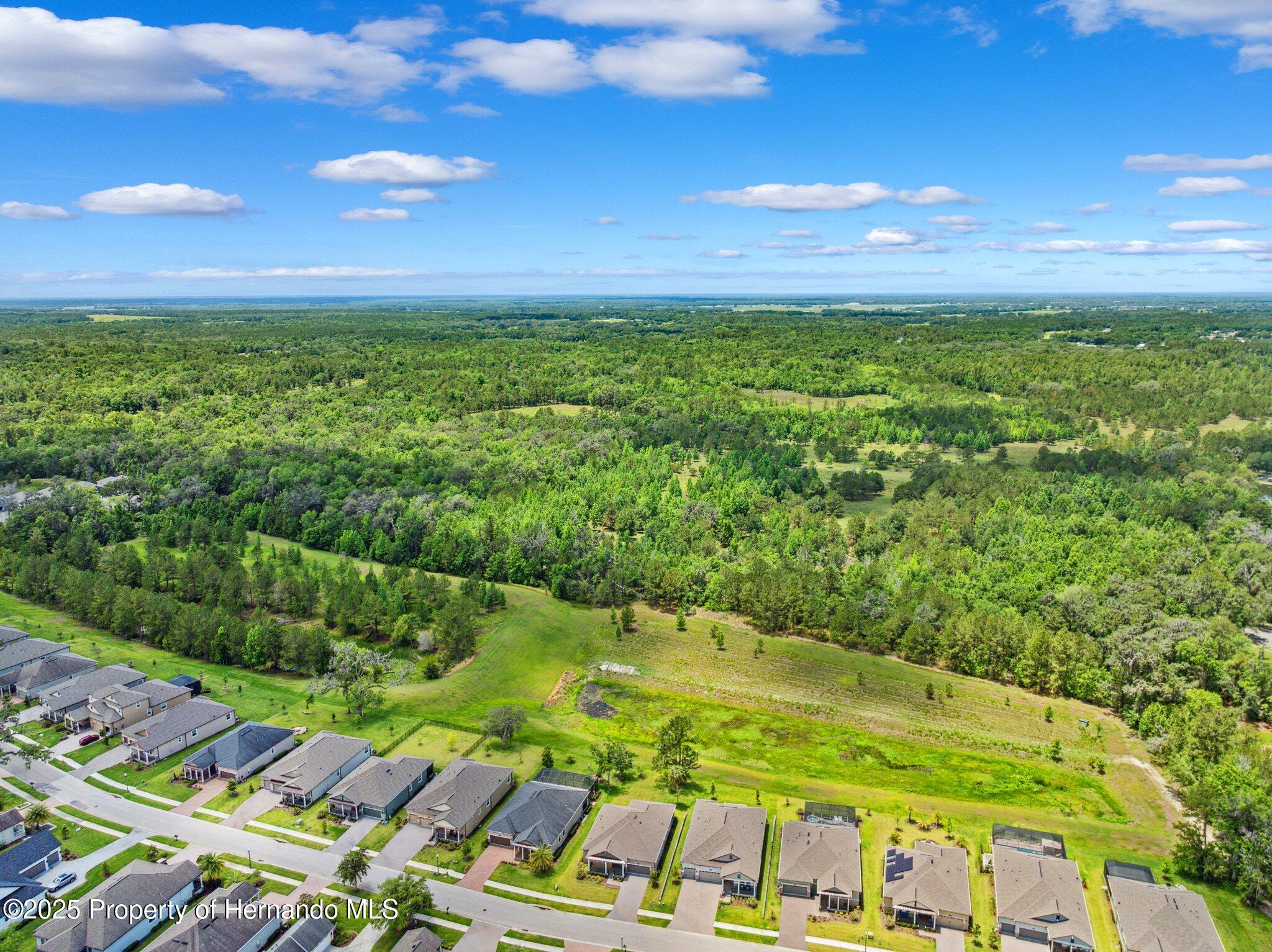 5005 Southern Valley Loop, Brooksville, Florida image 46